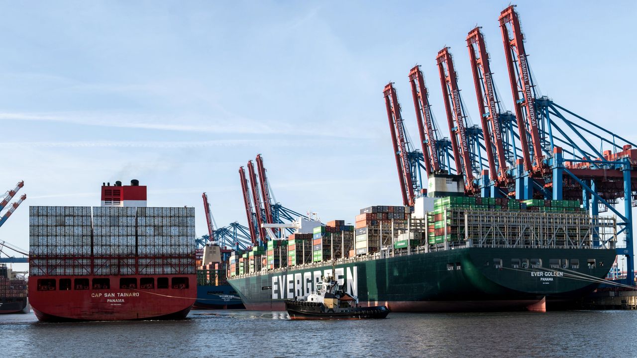 Home Container ships docked at Hamburg port showcasing logistics and industry.